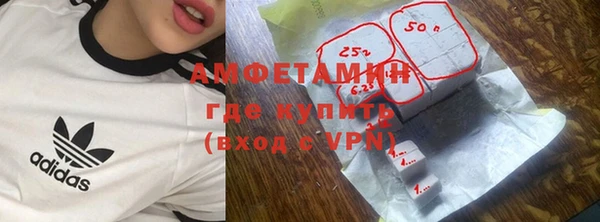 шишки Верея