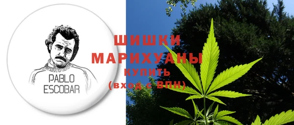 шишки Верея