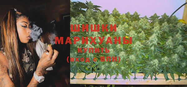 шишки Верея