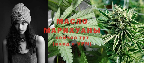 шишки Верея
